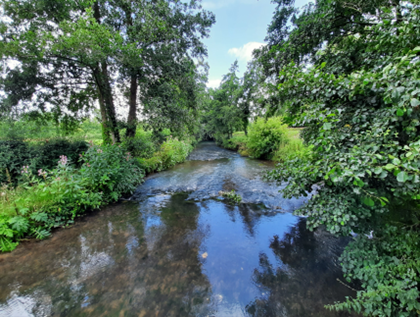 La Lys à Matringhem Photo: SymSAGEL